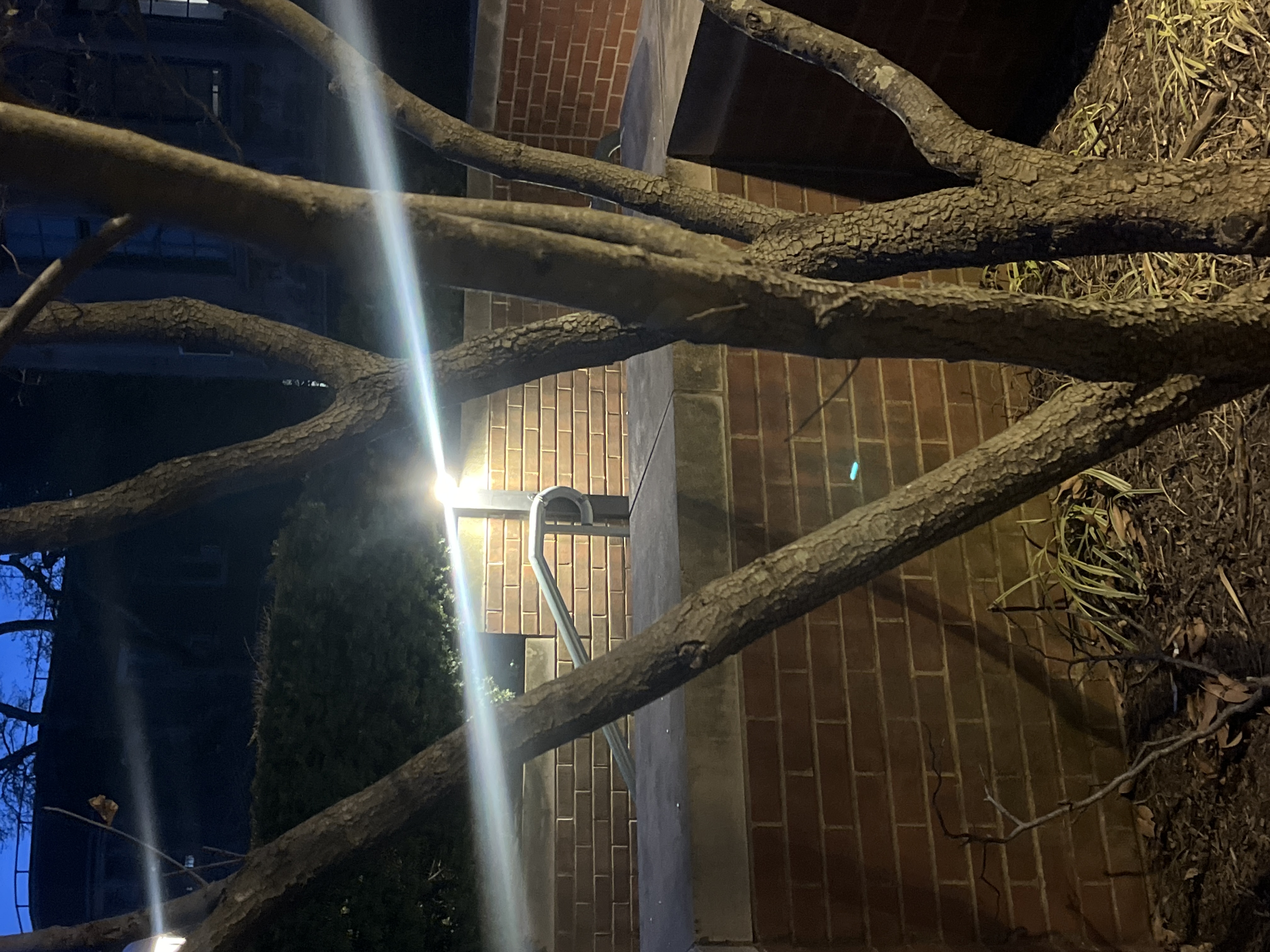 User submitted image